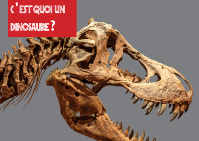 Expo : Envolés les dinosaures