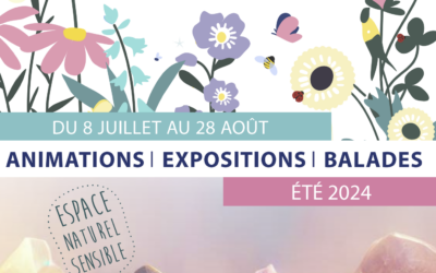 Eté 2024 – Les ateliers Jeune Public de l&rsquo;été 2024