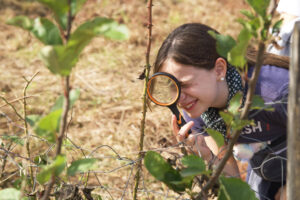 Atelier naturaliste