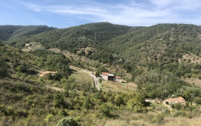 Automne 2025 – Les ateliers Jeune Public