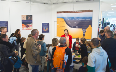 Paléodécouvertes en bref